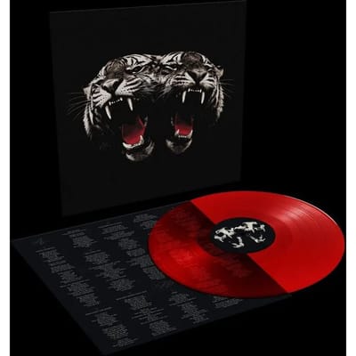 Royal Blood LP - Dead Company - voor Geen - standaard