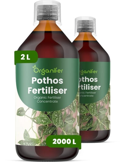 Vloeibare Meststof Voor Pothos 2X1 L Voor 2000 L - Npk 2-1-8 - Ondersteunt Gelijkmatige Rankgroei En Dicht Blad - Verbetert Wortelactiviteit - Verbetert De Tolerantie Voor Omgevingsstress Binnenshuis - Organifer