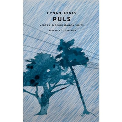 Deining - Cynan Jones
