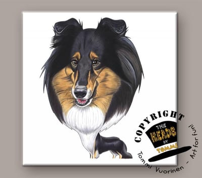 Tegel Hond Schotse Collie