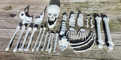 Totally Halloween | Zak met beenderen | Skeletten Botten | Bag of Bones | 28 Stuks