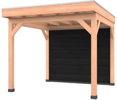 Douglas overkapping, 300 x 300, met zwarte achterwand, Westwood Comfort Premium