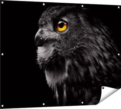 Gards Tuinposter Zwarte Uil met Gouden Ogen - 120x90 cm - Tuindoek - Tuindecoratie - Wanddecoratie buiten - Tuinschilderij