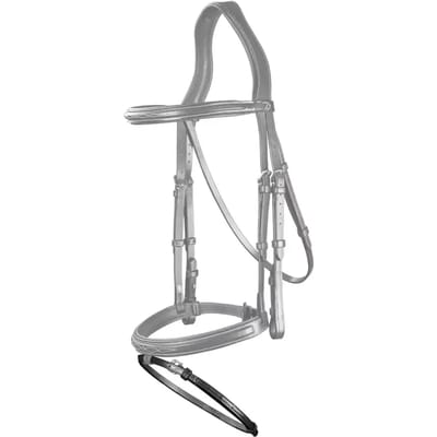Paardensingel Dy'on Flash US Collection 3/8"