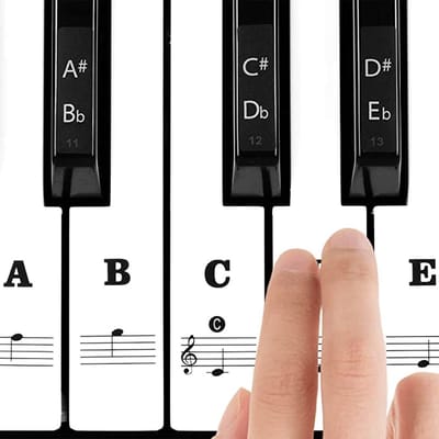 Knaak Piano Keyboard Stickers - Geschikt voor 37/49/54/61/88 Toetsen