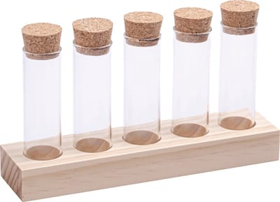 Stekstation met 5 reageerbuisjes en blank houten houder - Reageerbuisjes voor stekjes, kruiden of droogbloemen - 5 glazen vaasjes met kurk - Stekken op water - Stekje kweken - Stek je plant - Hydroponie