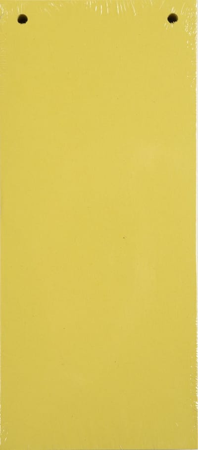 Exacompta 12x FOREVER® Pak van 100 horizontale tabstroken met perforatie 180g - 105x240mm - Geel - 13425B