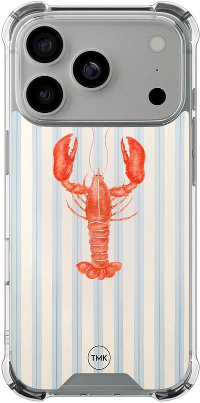 Shockproof hoesje geschikt voor Apple iPhone 17 Pro - Kreeft - Schokbestendig - Verhoogde randen - TPU case - Extra Sterke Back Cover - Gestreept - Transparant, Blauw