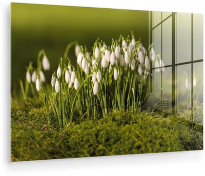 ® Glasschilderij 180x120 cm - Schilderij acrylglas - Bosje kleine sneeuwklokjes op mis - Foto op glas - Muurdecoratie woonkamer - Wanddecoratie slaapkamer - Schilderijen