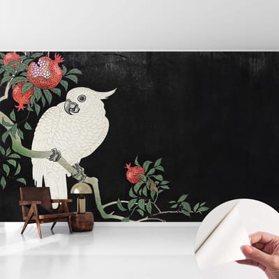 Coloray Zelfklevend Behang - Granaatappelpapegaai Stickerbehang op rol - 416x254 cm - Zwart Zelfklevend Behang - Voor de woonkamer, slaapkamer en kantoor - Plakklare achterzijde - Zelfklevend fotobehang