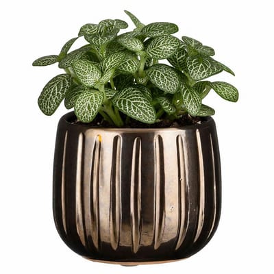 Mica Decorations Plantenpot - keramiek - brons glans / ribbels - D14 x H12 cm - bloempot Pablo
