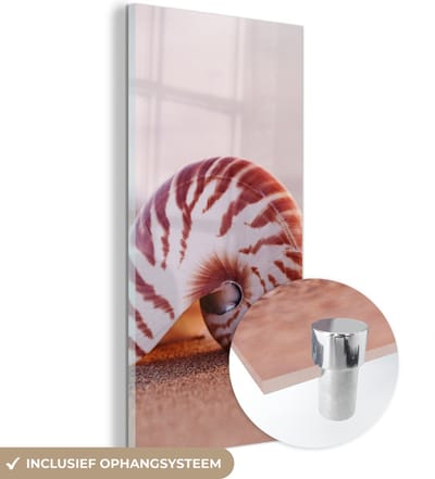 Glasschilderij - Wanddecoratie - MuchoWow - Zee - Strand - Schelp - Schilderij glas - Muurdecoratie - Acrylglas - Foto op glas - 60x120 cm - Schilderijen woonkamer