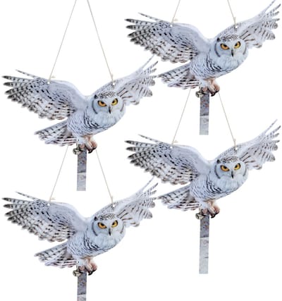 4-delige Dubbelzijdige Vogelenafstoter (Arend) – Reflecterende Hanging Decoratie, Anti-Duiften