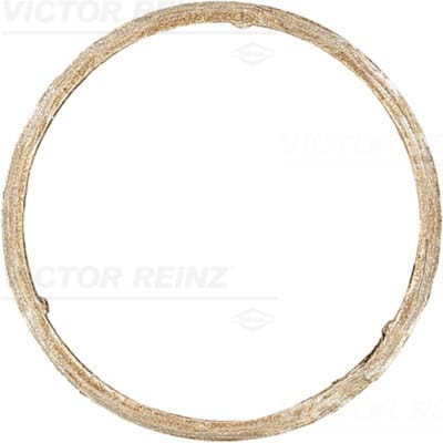 Victor Reinz Pakking, uitlaatpijp REINZ 71-11399-00