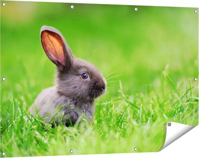 Gards Tuinposter Konijn in het Gras - 120x80 cm - Tuindoek - Tuindecoratie - Wanddecoratie buiten - Tuinschilderij