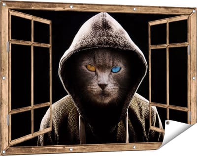Gards Tuinposter Doorkijk Boze Kat Draagt een Hoodie - 120x80 cm - Tuindoek - Tuindecoratie - Wanddecoratie buiten - Tuinschilderij