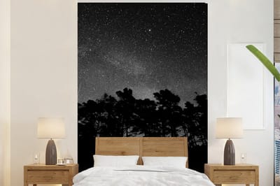 Behang - Fotobehang Sterrenhemel - Bos - Hemel - Zwart - Bomen - Breedte 200 cm x hoogte 300 cm