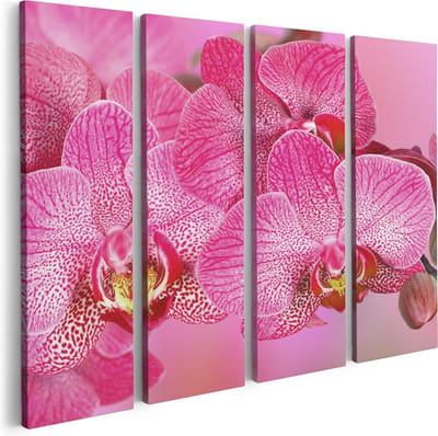 Artaza Canvas Schilderij Vierluik Roze Orchidee Bloemen - 80x60 - Foto Op Canvas - Canvas Print