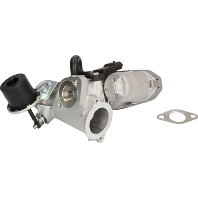 EGR-klep DELPHI EG10453-12B1