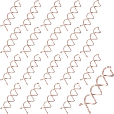 Pack van 20 Spiral Haarclips voor Diverse Haardrachten