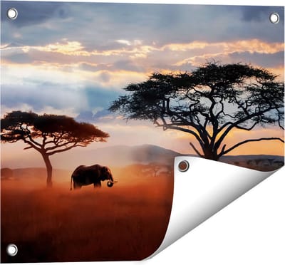 Gards Tuinposter Olifant in het Wild - Savanne - 50x40 cm - Tuindoek - Tuindecoratie - Wanddecoratie buiten - Tuinschilderij