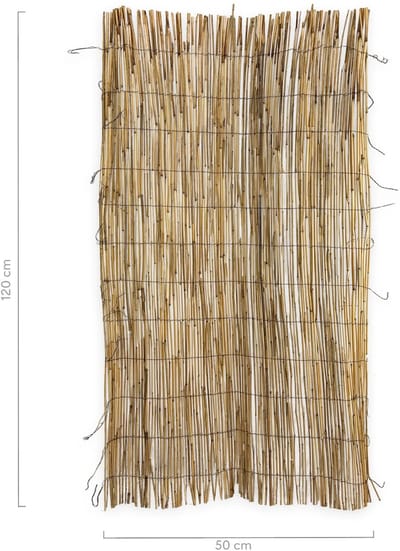 Masters of Bamboo® Rietmat Mini 50 x 120 cm - Set van 20 stuks - Totaal 10 meter - Balkonscherm van Riet