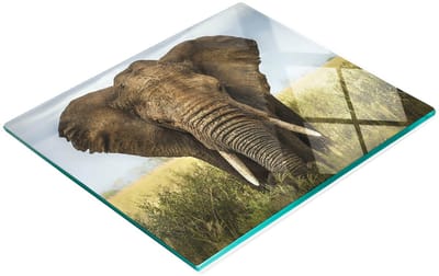 Gehard multifunctioneel decoratief bord van glas met olifantenmotief (Savannah) 60x52 cm