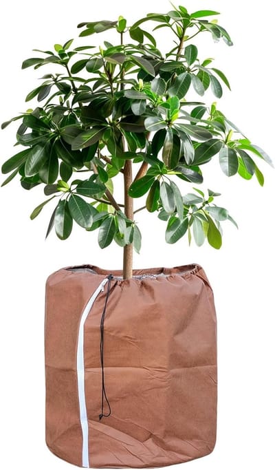 Thermo Pot Bescherming voor Planten, Winterbescherming met Koord, 60 x 90 cm, Ideaal voor Potplanten en Tuinplanten
