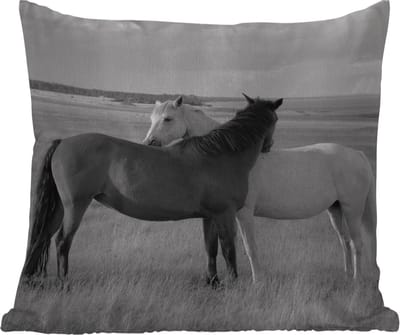 Tuinkussen - Paarden - Dieren - Portret - Zwart wit - Platteland - 40x40 cm - Weerbestendig