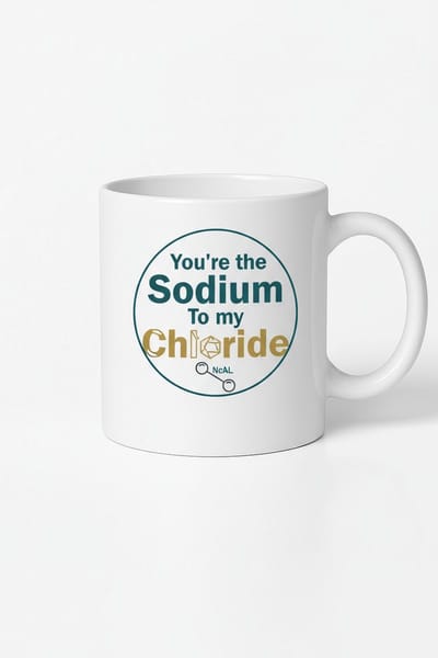 Mok Chemie Liefde: 'You're the Sodium To My Chloride' | Uniek Scheikunde Cadeau Beker