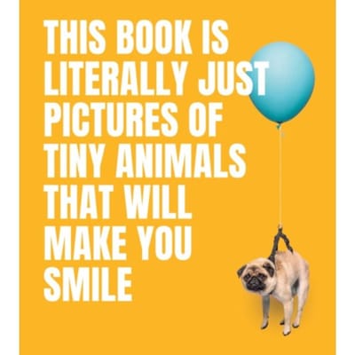 This Book Is Literally Just Pictures Of Tiny Animals That Will Make You Smile - This Book Is - Smith Street Books