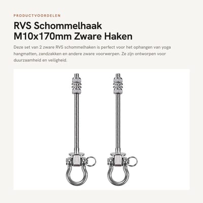 Dailygoods- Schommelhaak Zware Haken - M10x170mm - Anti-vastloopschroefdraad - Temperatuurbestendig - Roestvrij Staal - 2 Stuks - Hanghaak
