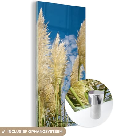 MuchoWow® Glasschilderij 20x40 cm - Schilderij acrylglas - Pampasgras - Plant - Natuur - Foto op glas - Schilderijen