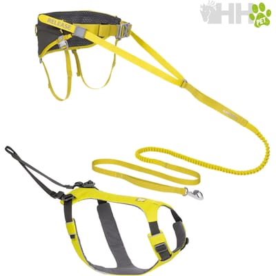 Halsband en tuig voor hond met riem Ruffwear Omnijore