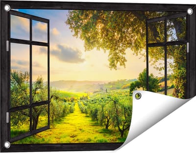 Gards Tuinposter Doorkijk Olijvenbomen - Olijvengaard - 60x40 cm - Tuindoek - Tuindecoratie - Wanddecoratie buiten - Tuinschilderij