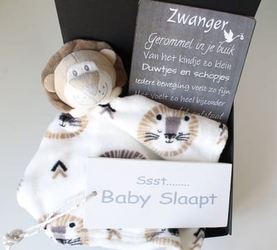 Minibox Knuffeldoek Lion - cadeau baby - cadeau zwangerschap - knuffeldoek - geschenk baby