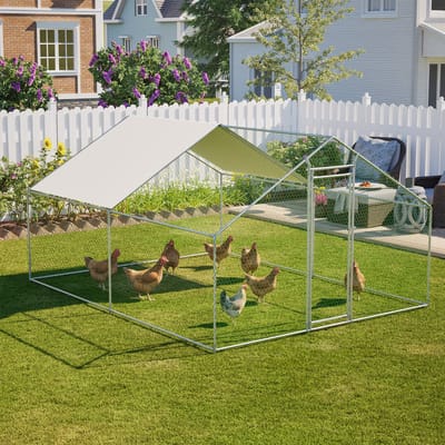 Clruro Kippenhok - 3 × 4 × 2 m - Ren met Veiligheidsslot en PE-Dak - Metaal - Zilver