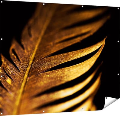 Gards Tuinposter Gouden Veer - 150x120 cm - Tuindoek - Tuindecoratie - Wanddecoratie buiten - Tuinschilderij