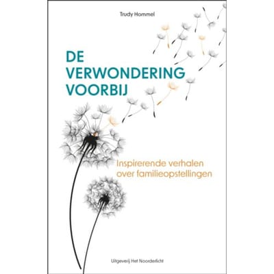 De Verwondering Voorbij - Trudy Hommel