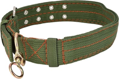 Eenvoudige en Comfortabele Hondenhalsband van Leer, Lichtgewicht en Veilig, Ideaal voor Gezinnen en Grote Honden