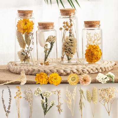 Famanu – Gedroogde bloemen in glazen reageerbuizen, boho decoratie set van 4 voor vensterbank en tafel
