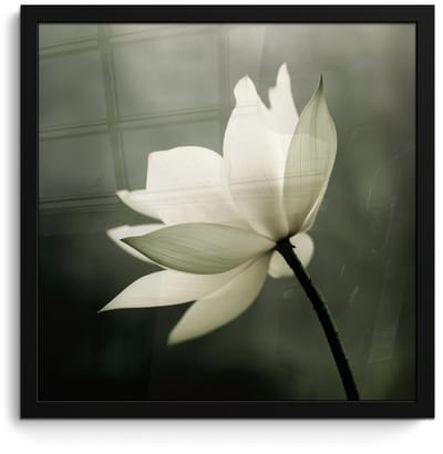 Poster in lijst - Fotolijst 40x40 cm - Posters - Wit - Lotus - Donker - Bloem - Posterlijst zwart - Decoratie - Wanddecoratie woonkamer - Muurdecoratie slaapkamer