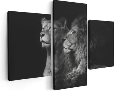 Artaza Canvas Schilderij Drieluik Leeuw En Leeuwin - Zwart Wit - 90x60 - Foto Op Canvas - Canvas Print