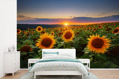 Behang - Fotobehang Bloemen - Nacht - Zonsondergang - Zonnebloem - Horizon - Breedte 420 cm x hoogte 280 cm