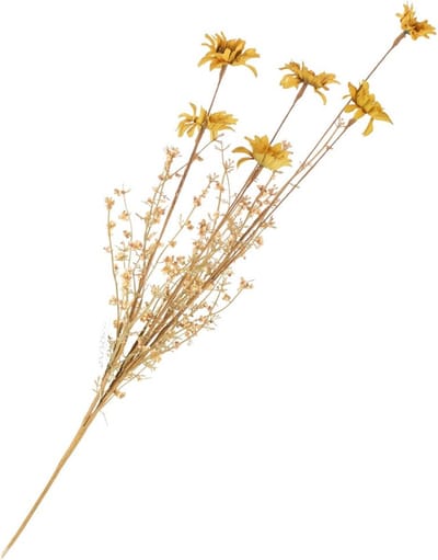 Perennial geel