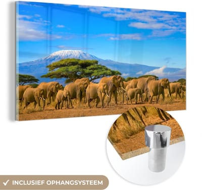 MuchoWow® Glasschilderij 40x20 cm - Schilderij acrylglas - Olifant - Berg - Safari - Foto op glas - Schilderijen