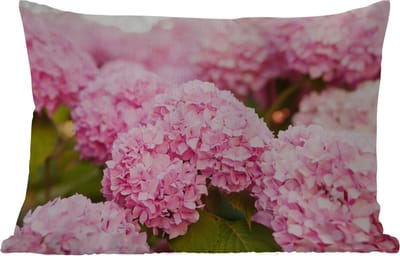 Buitenkussens - Tuin - Struik - Bloemen - Roze - Hortensia - 50x30 cm