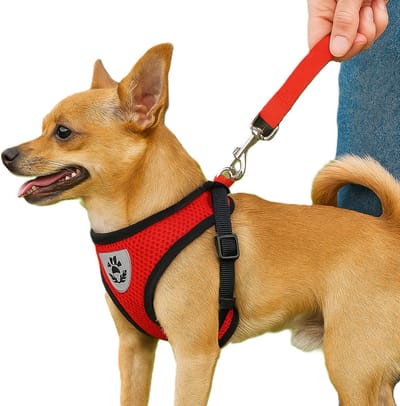 Reflecterend Drukvrij Harnas – Maat S Rood – Borstomtrek 26 – 32 cm – Comfortabel Ademend Mesh Hondentuig met Riem – Veilig, Verstelbaar & Lichtgewicht – Voor Honden en Katten