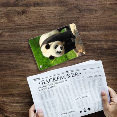 Apple iPad Mini 4 | Mini 5 (2019) Back Case Panda