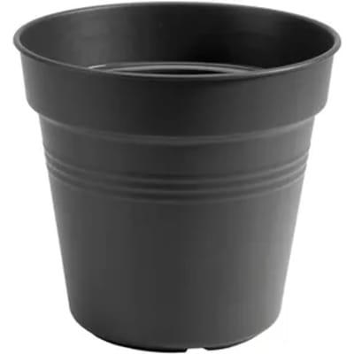Elho Green Basics Kweekpot 30 - Kweekpot voor Binnen en Buiten - Ø 30.0 x H 27.7 cm - Living black